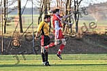 14.11.2010 - SV Eitensheim / DJK Eichstätt