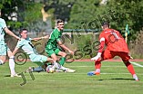 Fußball, Herren, Bayernliga Nord, Saison 2023-2024, Spieltag 11, VfB Eichstätt - DJK Ammerthal, 09.09.2023