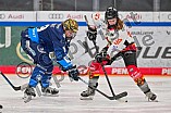 Eishockey, Frauen, DFEL, Saison 2024-2025, ERC Ingolstadt - EC Bergkamener Bären, 05.01.2025