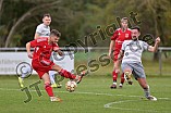Fußball, Herren, Kreisliga Neumarkt Jura West, Saison 2023-2024, Spieltag 12, DJK Limes - SV Wettelsheim, 29.10.2023