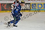 ERC Ingolstadt vs Hamburg Freezers, Eishockey, DEL, Deutsche Eishockey Liga, 10.01.2016