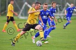 Fußball, Herren, Kreisliga West, Saison 2021-2022, Spieltag 8, DJK Pollenfeld - TV Büchenbach, 19.09.2021