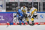 Eishockey, Frauen, DFEL, Saison 2023-2024, ERC Ingolstadt - Mad Dogs Mannheim, 18.02.2024