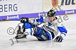 Thomas Sabo Ice Tigers vs ERC Ingolstadt, Eishockey, DEL, Deutsche Eishockey Liga, Spieltag 43, 27.01.2019