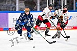 Eishockey, Frauen, DFEL, Saison 2024-2025, ERC Ingolstadt - EC Bergkamener Bären, 04.01.2025