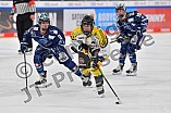 Eishockey, Frauen, DFEL, Saison 2021-2022, ERC Ingolstadt - Mad Dogs Mannheim, 23.10.2021