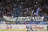 22.02.2015 - ERC Ingolstadt - Straubing Tigers