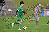 Fußball, Herren, Kreisliga 1, Saison 2023-2024, Spieltag 13, SV Denkendorf - SV Lippertshofen, 29.10.2023