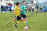 22.03.2015 - DJK Pollenfeld - DJK Allersberg