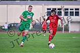 Fußball, Herren, Bayernliga Nord, Saison 2024-2025, Spieltag 9, VfB Eichstätt - TSV Kornburg, 30.08.2024