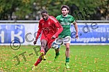 Fußball, Herren, Bezirksliga Oberbayern Nord, Saison 2024-2025, Spieltag 15, FC Gerolfing - BC Attaching, 26.10.2024
