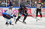 Eishockey, Herren, DEL, Saison 2024-2025, Spieltag 39, Straubing Tigers - ERC Ingolstadt, 24.01.2025