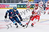 Hockey, Mens, CHL, Season 2025-2026, Regular Season, Game Day 6, ERC Ingolstadt - Odense Bulldogs, 15.10.2025