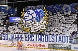 17.01.2014 - ERC Ingolstadt - Düsseldorfer EG