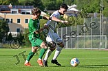 Fußball, Herren, Bayernliga Nord, Saison 2024-2025, Spieltag 5, VfB Eichstätt - SC Eltersdorf, 09.08.2024