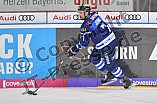 ERC Ingolstadt vs Adler Mannheim, DEL, Deutsche Eishockey Liga, Spieltag 46, 15.02.2019
