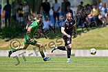 Fußball, Herren, Landesliga Südwest, Saison 2025-2026, Vorbereitung, TSV 1861 Nördlingen - SV Manching, 22.06.2025