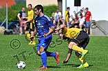 22.05.2016 - DJK Pollenfeld - SV Marienstein