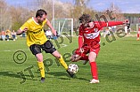 Fußball, Herren, Kreisliga West, Saison 2021-2022, Spieltag 18, DJK Pollenfeld - TSV 1860 Weißenburg U 23 II, 18.04.2022