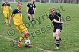15.11.2015 - DJK Pollenfeld - SG SV Cronheim