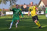 Fußball, Herren, Kreisliga West, Saison 2021-2022, Spieltag 12, DJK Pollenfeld - SV Wettelsheim, 17.10.2021
