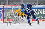 Eishockey, Frauen, DFEL, Saison 2025-2026, Testspiel, ERC Ingolstadt - HC Davos, 14.02.2026