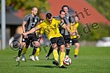 Fußball, Herren, Kreisklasse Neumarkt Jura Süd, Saison 2025-2026, Spieltag 8, DJK Pollenfeld - TSV Heideck II, 21.09.2025