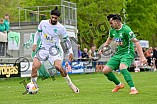 Fußball, Herren, Bayernliga Nord, Saison 2024-2025, Spieltag 31, VfB Eichstätt - TSV Neudrossenfeld, 26.04.2025