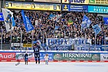 Eishockey, Herren, DEL, Saison 2024-2025, Spieltag 48, ERC Ingolstadt - Nürnberg Ice Tigers, 23.02.2025