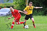 11.06.2016 - DJK Pollenfeld - SG SSV Oberhochstatt