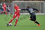 Fußball, Herren, Regionalliga Bayern, Saison 2021-2022, Testspiel, VfB Eichstätt - SC Großschwarzenlohe, 30.01.2021