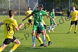 Fußball, Herren, Kreisliga West, Saison 2021-2022, Spieltag 12, DJK Pollenfeld - SV Wettelsheim, 17.10.2021