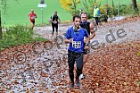 27.10.2013 - Lionslauf 2013