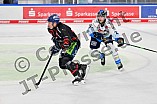 Eishockey, Herren, DEL, Saison 2024-2025, Spieltag 39, Straubing Tigers - ERC Ingolstadt, 24.01.2025