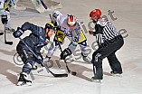 ERC Ingolstadt vs Schwenninger Wild Wings, Eishockey, DEL, Deutsche Eishockey Liga, 22.01.2016