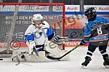 Eishockey, Herren, DEL, Saison 2024-2025, ERC Ingolstadt - Kids On Ice Day, 11.01.2025