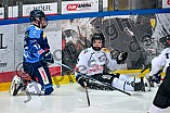 Eishockey, Herren, U20 DNL, Saison 2025-2026, Viertelfinale - Spiel 2, ERC Ingolstadt - ESC Dresden, 08.03.2026