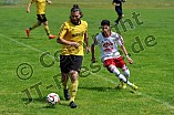 14.06.2015 - DJK Pollenfeld - TürkSpor Freystadt