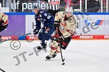Eishockey, Herren, DEL, Saison 2024-2025, Spieltag 48, ERC Ingolstadt - Nürnberg Ice Tigers, 23.02.2025