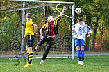 03.10.2015 - DJK Workerszell - SG-SpVgg Wellheim-Konstein