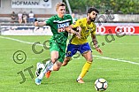 17.08.2017 - VfB Eichstätt - Al Dhafra FC