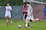 Fußball, Herren, Bayernliga Nord, Saison 2024-2025, Spieltag 31, FC Ingolstadt 04 II - ATSV Erlangen, 25.04.2025