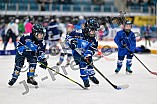 Eishockey, Saison 2025-2026, ERC Ingolstadt - Kids On Ice Day, 29.11.2025
