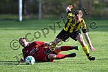 20.04.2018 - DJK Workerszell - DJK Pollenfeld II