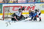 Eishockey, Frauen, DFEL, Saison 2024-2025, ERC Ingolstadt - HK Budapest Roster, 12.01.2025