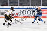 Eishockey, Frauen, DFEL, Vorbereitung, Saison 202-2025, ERC Ingolstadt - St. Pölten, 07.09.2024
