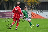 Fußball, Herren, Bezirksliga Oberbayern Nord, Saison 2024-2025, Spieltag 15, FC Gerolfing - BC Attaching, 26.10.2024