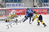 Eishockey, Frauen, DFEL, Saison 2023-2024, ERC Ingolstadt - Mad Dogs Mannheim, 18.02.2024