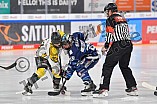 Eishockey, Frauen, DFEL, Saison 2021-2022, ERC Ingolstadt - Mad Dogs Mannheim, 24.10.2021
