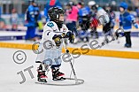 Eishockey, Saison 2025-2026, ERC Ingolstadt - Kids On Ice Day, 29.11.2025